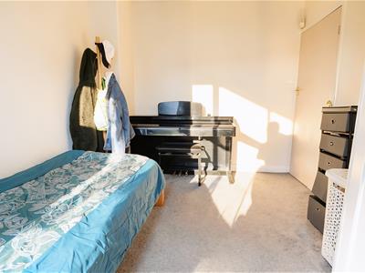 Picture 14